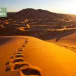 desert puns